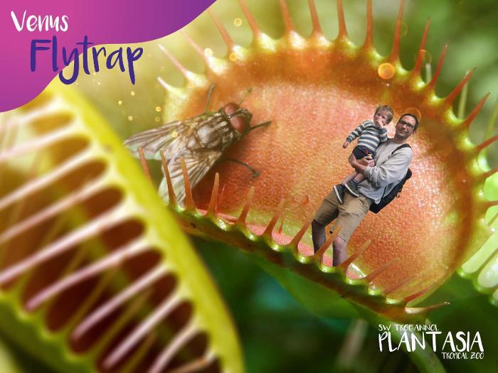 a photo of a man and child superimposed inside a giant venus fly trap